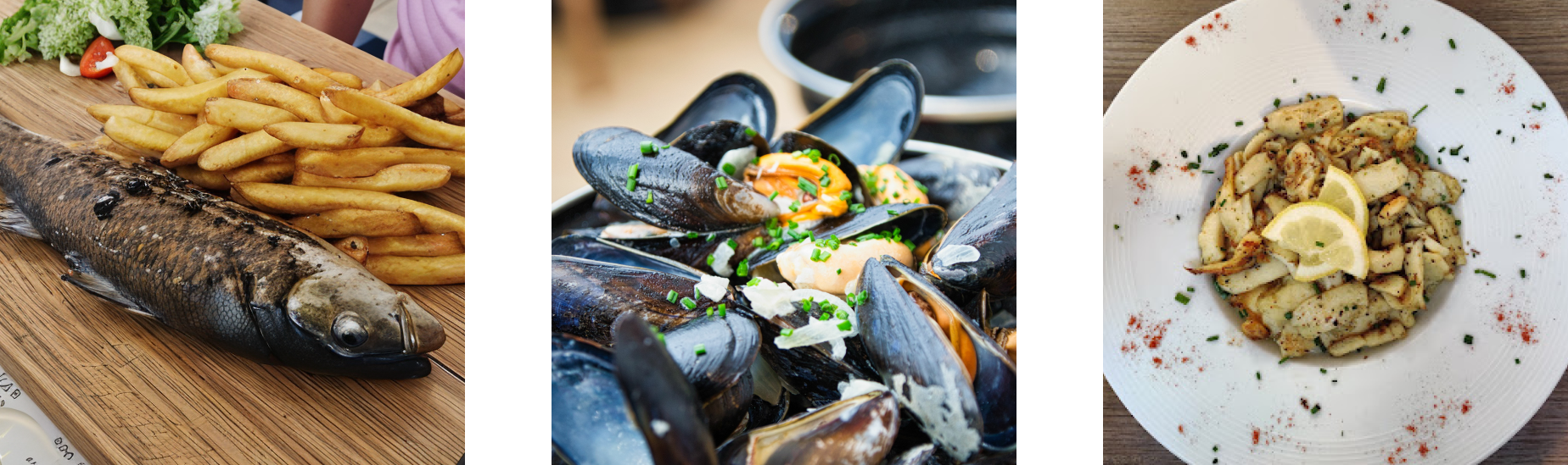 Le restaurant - Restaurant Terrasse La Rochelle - Brasserie La Rochelle - Restaurant Poisson La rochelle - L'O à La Bouche - Restaurant La Rochelle - Restaurant Fruit de Mer La Rochelle