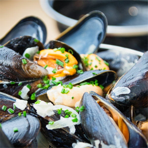 La carte - Restaurant Poisson La Rochelle - Moule Frite La Rochelle - Fruit de Mer La Rochelle - L'O à La Bouche - Restaurant La Rochelle - Restaurant Emporter La Rochelle